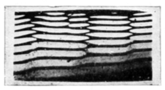 Fig. 16.
