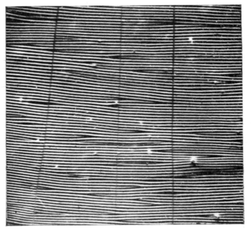 Fig. 17.