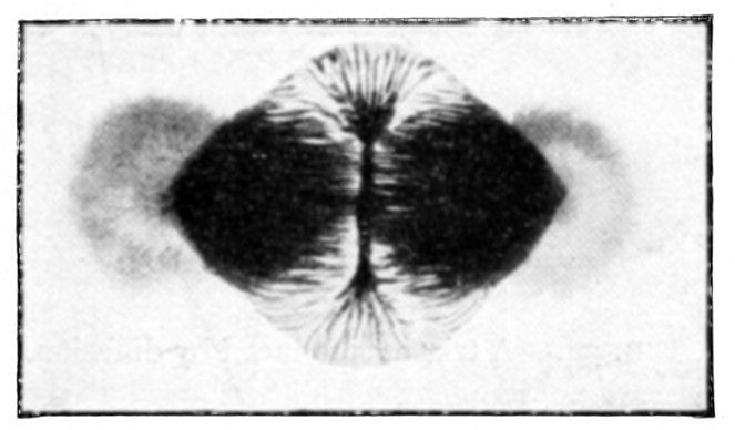 Fig. 33.