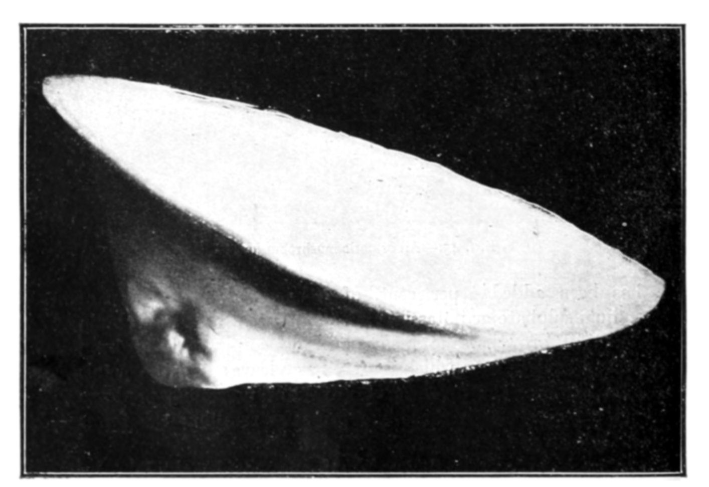 Fig. 45.