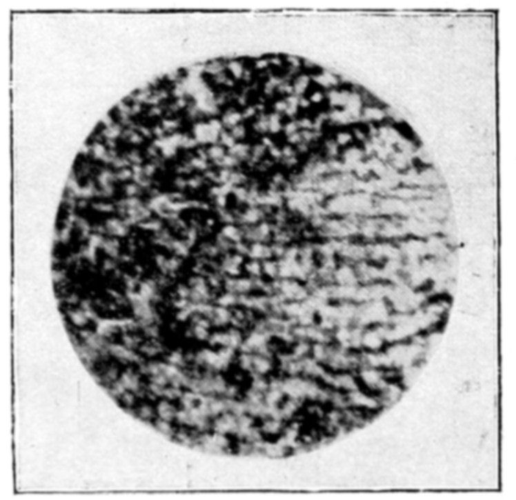 Fig. 58.