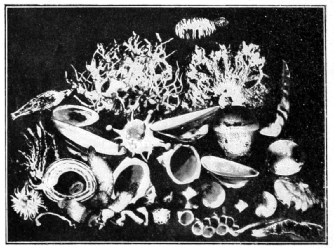 Fig. 63.