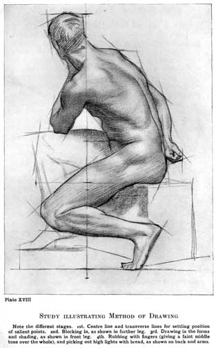 Plate XVIII. STUDY ILLUSTRATING METHOD OF DRAWING Note the different stages. 1st. Centre line and transverse lines for settling position of salient points. 2nd. Blocking in, as shown in further leg. 3rd. Drawing in the forms and shading, as shown in front leg. 4th. Rubbing with fingers (giving a faint middle tone over the whole), and picking out high lights with bread, as shown on back and arms.