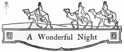 [Illustration: A Wonderful Night]