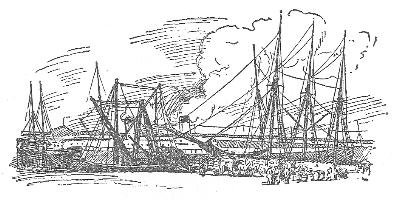 chapter illustration