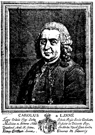 Portrair of Linnaeus