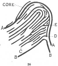 Fig. 26