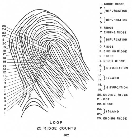 Fig. 102