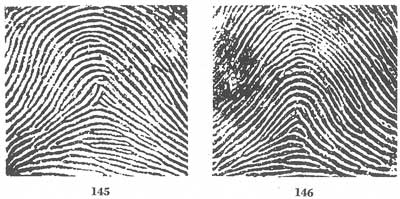 Figs. 145-146