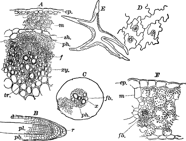 Fig. 94.