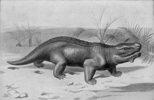 PARIASAURUS: AN EXTINCT VEGETARIAN TRIASSIC REPTILE