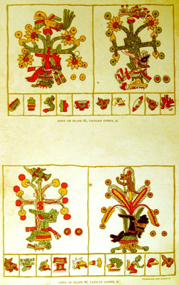 PL. IV COPY OF PLATE 65, VATICAN CODEX, B COPY OF PLATE 66, VATICAN CODEX, B