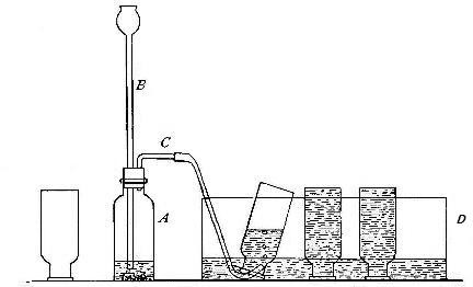 Fig. 10.