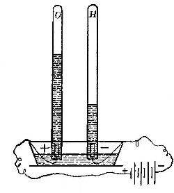 Fig. 19