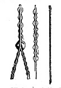 Fig. 3. Silk threads, viscid and dry.