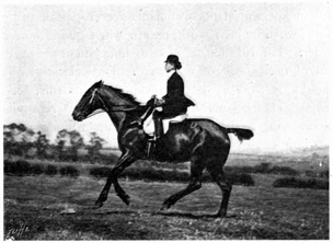 Woman riding at the canter