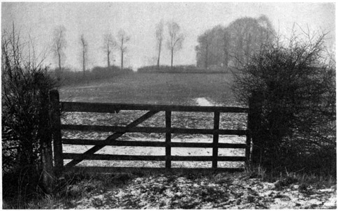 Wooden gate