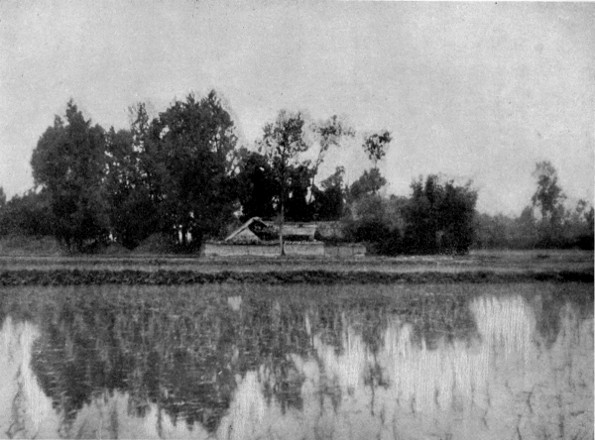 A FARMHOUSE IN CHENGTU PLAIN