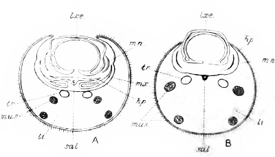 Fig. 67