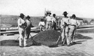 Working Coffee on Drying Flats, São Paulo