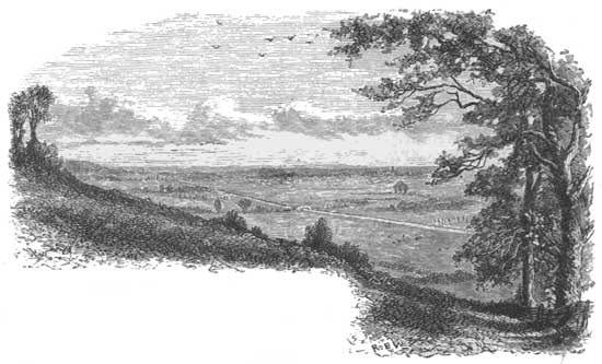 SEDGEMOOR, FROM COCK HILL.