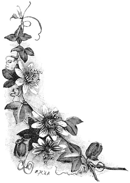 Fig. 167. Bloeiende tak van een Passiflora.