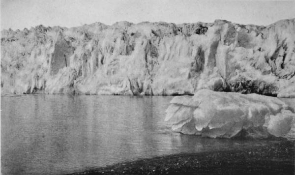 MUIR GLACIER