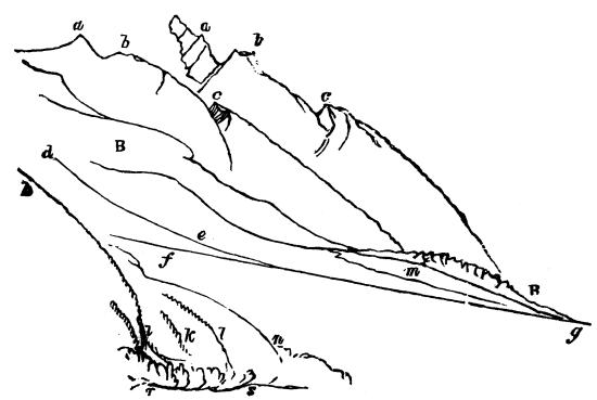 Fig. 61.