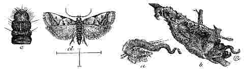 Fig. 17 and 18