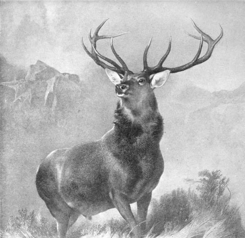 THE MONARCH OF THE GLEN