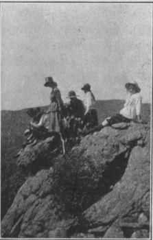 Monarchs of all they Survey