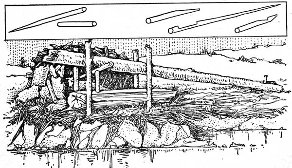 THE POLE DEADFALL.