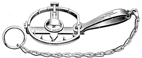 NEWHOUSE NO. 3 1/2 TRAP