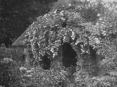 Outside View of the Brick Pergola shown at Page 214,
after Six Years' Growth.