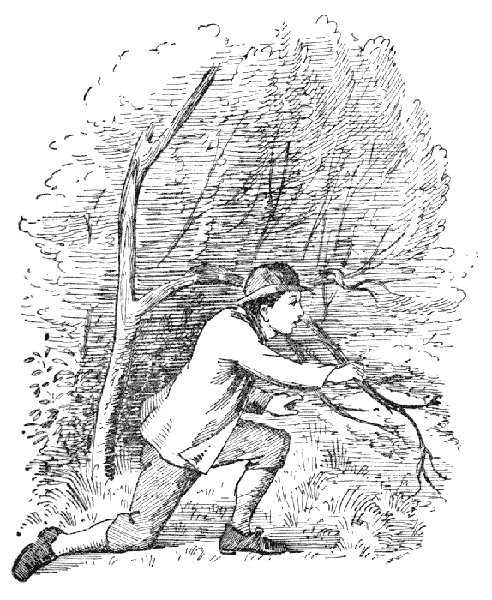 Man Kneeling in Woods