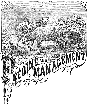 Feeding and Management