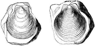 Fig. 85