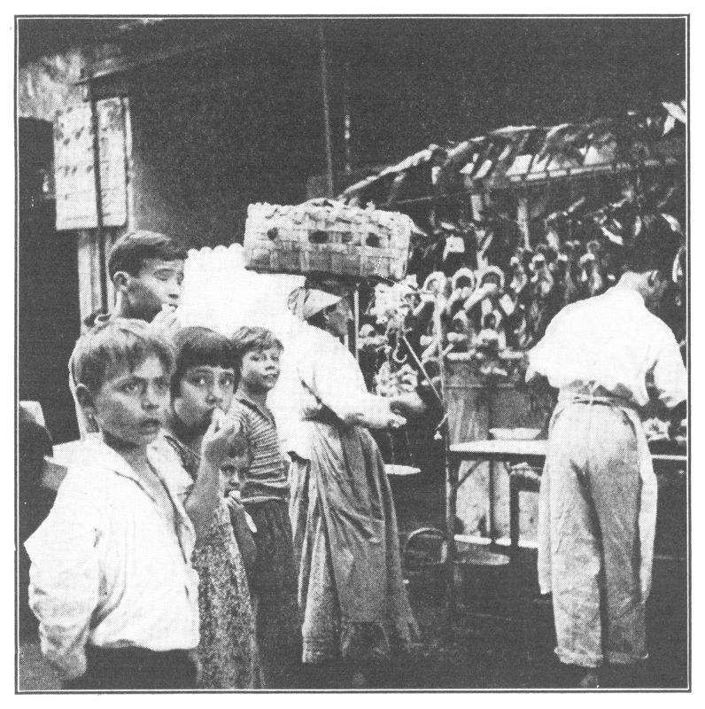 A FISH MARKET IN GENOA