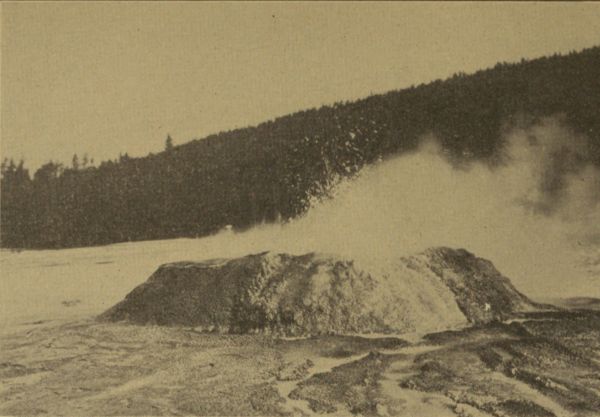 THE SPONGE GEYSER