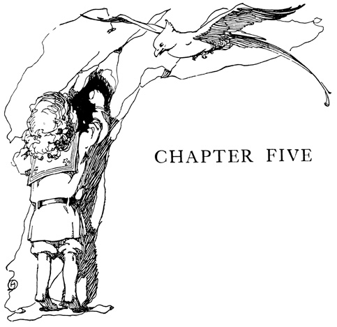 CHAPTER FIVE