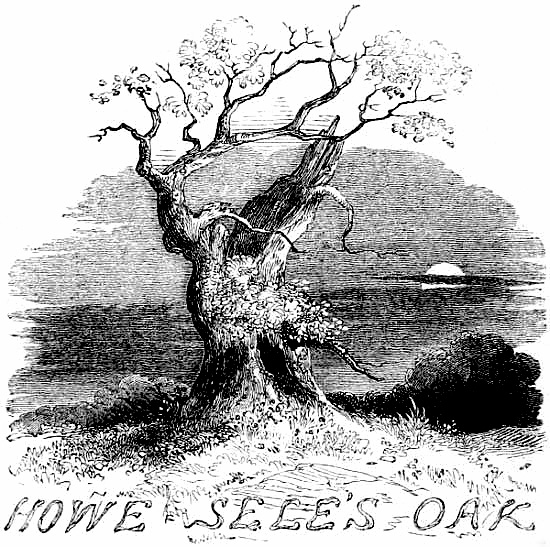 HOWE SELE’S OAK