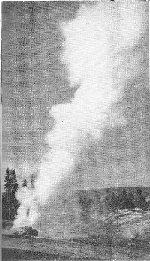 Riverside Geyser is an irregular performer that sends its plume-like jet diagonally out over the Firehole River. Higher up, the Firehole is a good fishing stream, but here its waters are strongly charged with minerals from the geysers and hot springs.