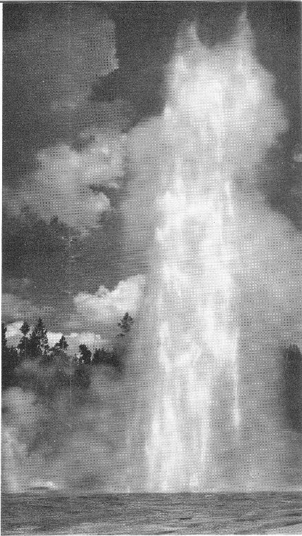 Giant Geyser, though an irregular performer, is the largest in the Park. At full discharge it sends its huge stream of boiling water and steam from 200 to 250 feet in the air. The rumble and roar of the geysers can be heard for long distances in the clear mountain air.