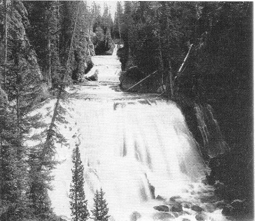 Pine trees cling precariously to the rocky walls of Kepler Cascades where the Firehole River drops down a series of picturesque falls and rapids.