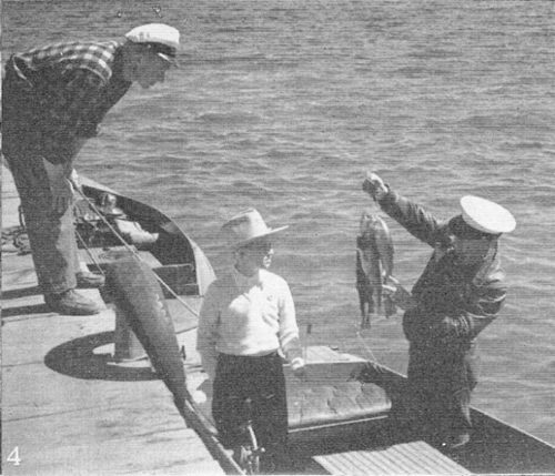 4. Gamy, solid-fleshed trout like these reward the fisherman in Yellowstone Lake.