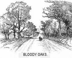 Bloody Oaks