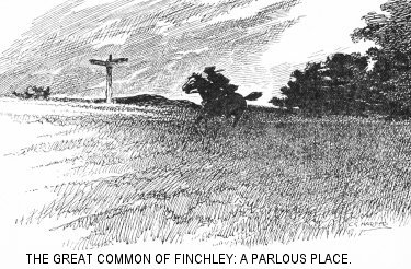 The Great Common of Finchley: a parlous place