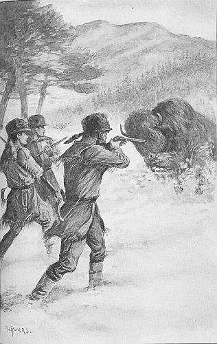 shooting at buffalo in snow
