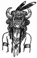 Indian in buffalo headdress