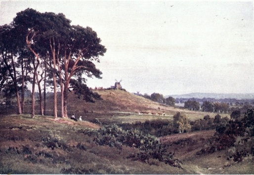 REIGATE HEATH, EVENING.